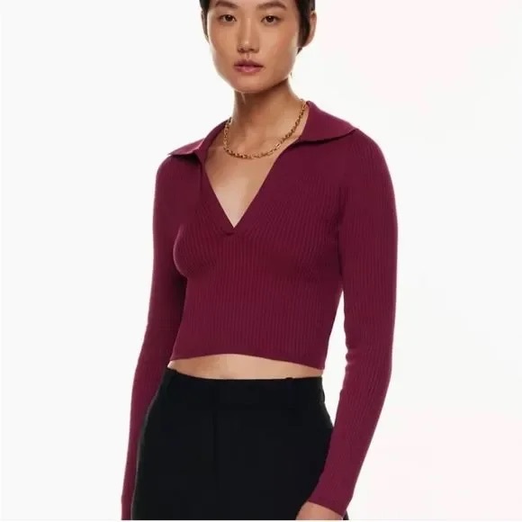 Aritzia Babaton Sculpt Knit Polo Longsleeve - Grapevine - Picture 2 of 5
